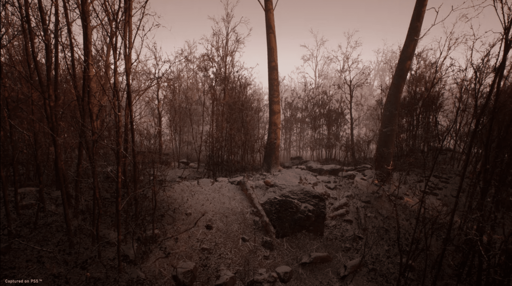 Blue Box Game Studios Reveals Abandoned Silent Hill 1