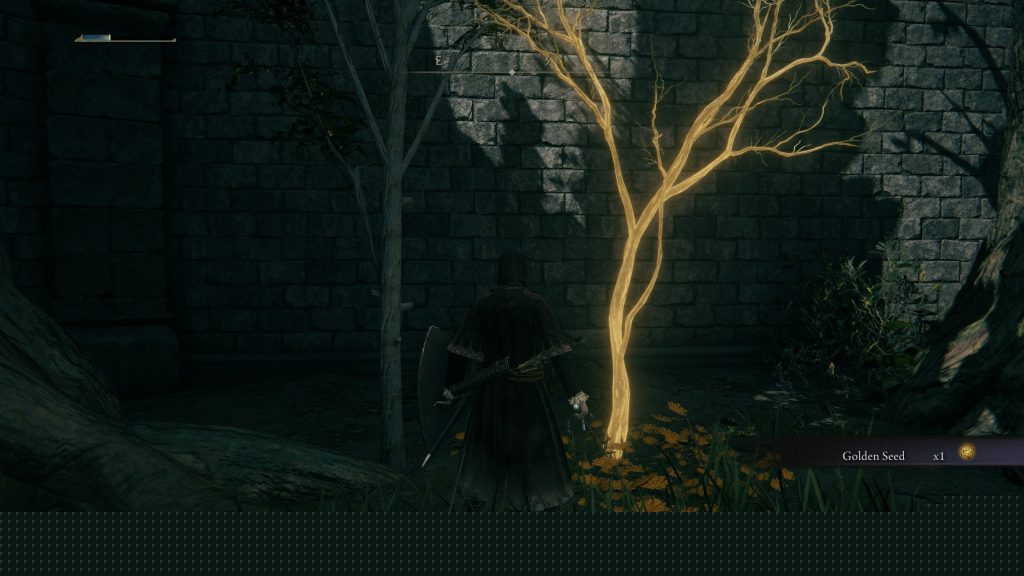 How to upgrade the Sacred Flasks in Elden Ring - Golden Seed