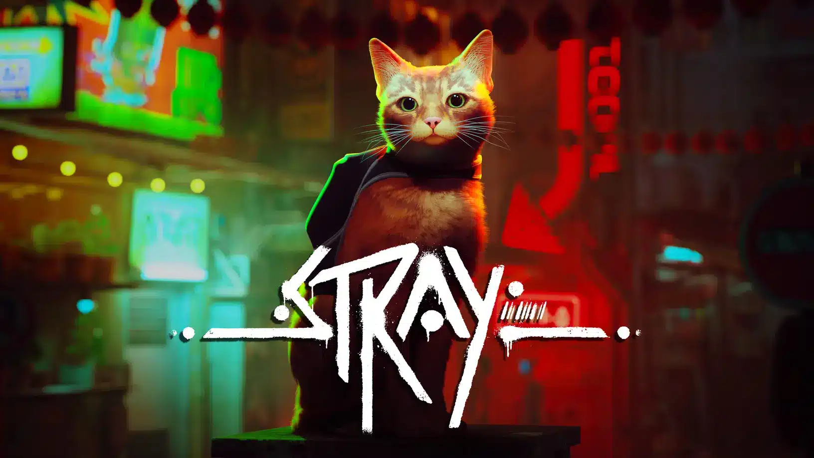Stray Release Date Revealed 1