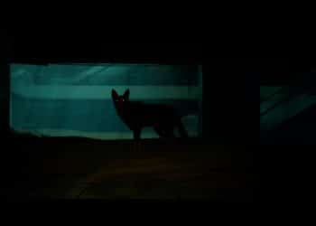 Blade Runner 2033 Labyrinth