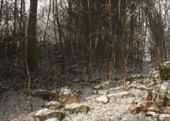 Blue Box Game Studios Breaks Silence as Abandoned Re-Emerges