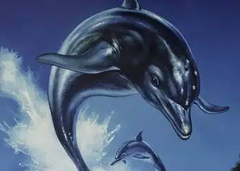 Ecco The Dolphin